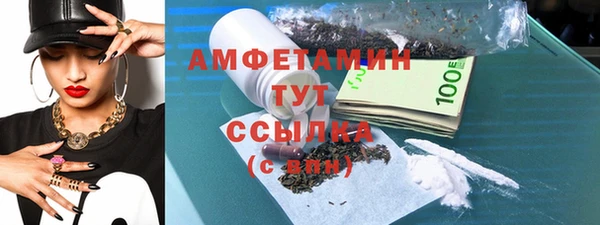 сатива Пересвет