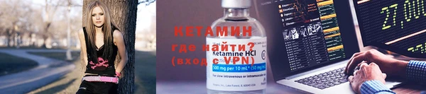 сатива Пересвет