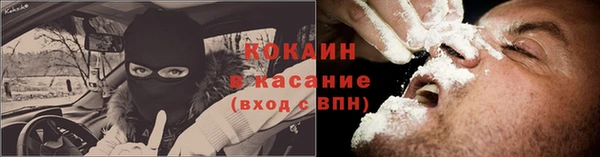 сатива Пересвет