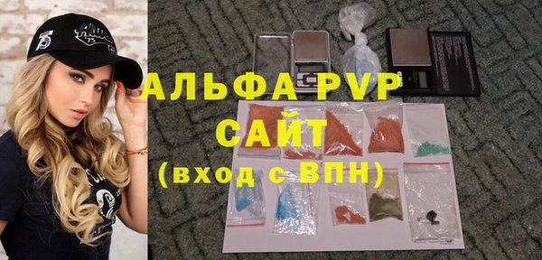сатива Пересвет