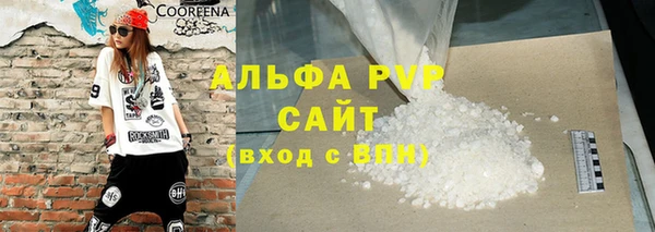 сатива Пересвет