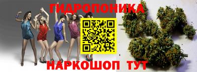 a pvp Берёзовский