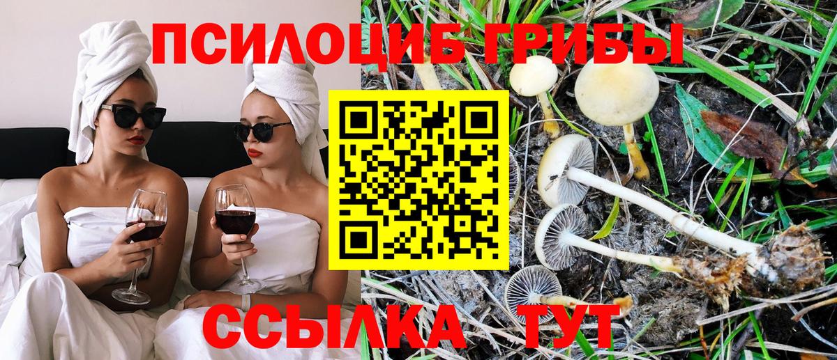 Галлюциногенные грибы Magic Shrooms  Вход с VPN  Большой Камень  Галлюциногенные грибы прущие грибы 