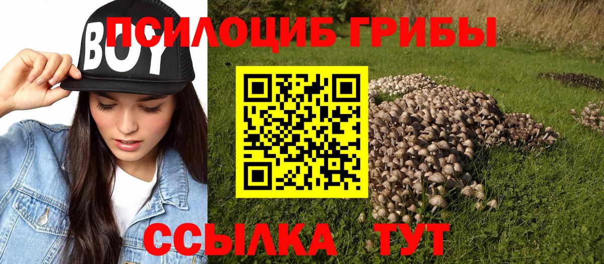 Галлюциногенные грибы Magic Shrooms  купить   Большой Камень 